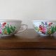 Kg luneville "street lamp" 2 breakfast cups for coffee or tea, earthenware, hand-painted flowers.