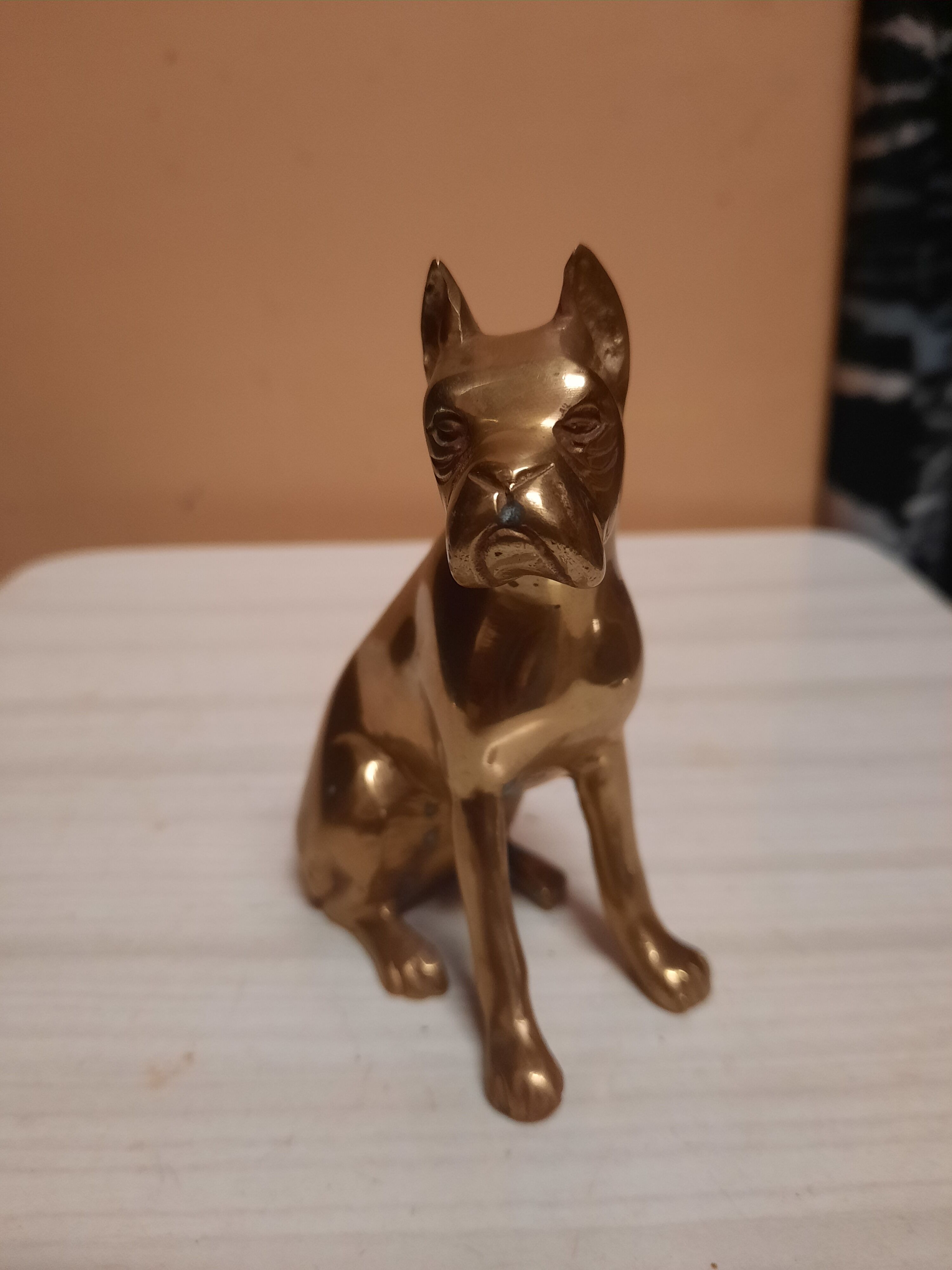 Brass dog