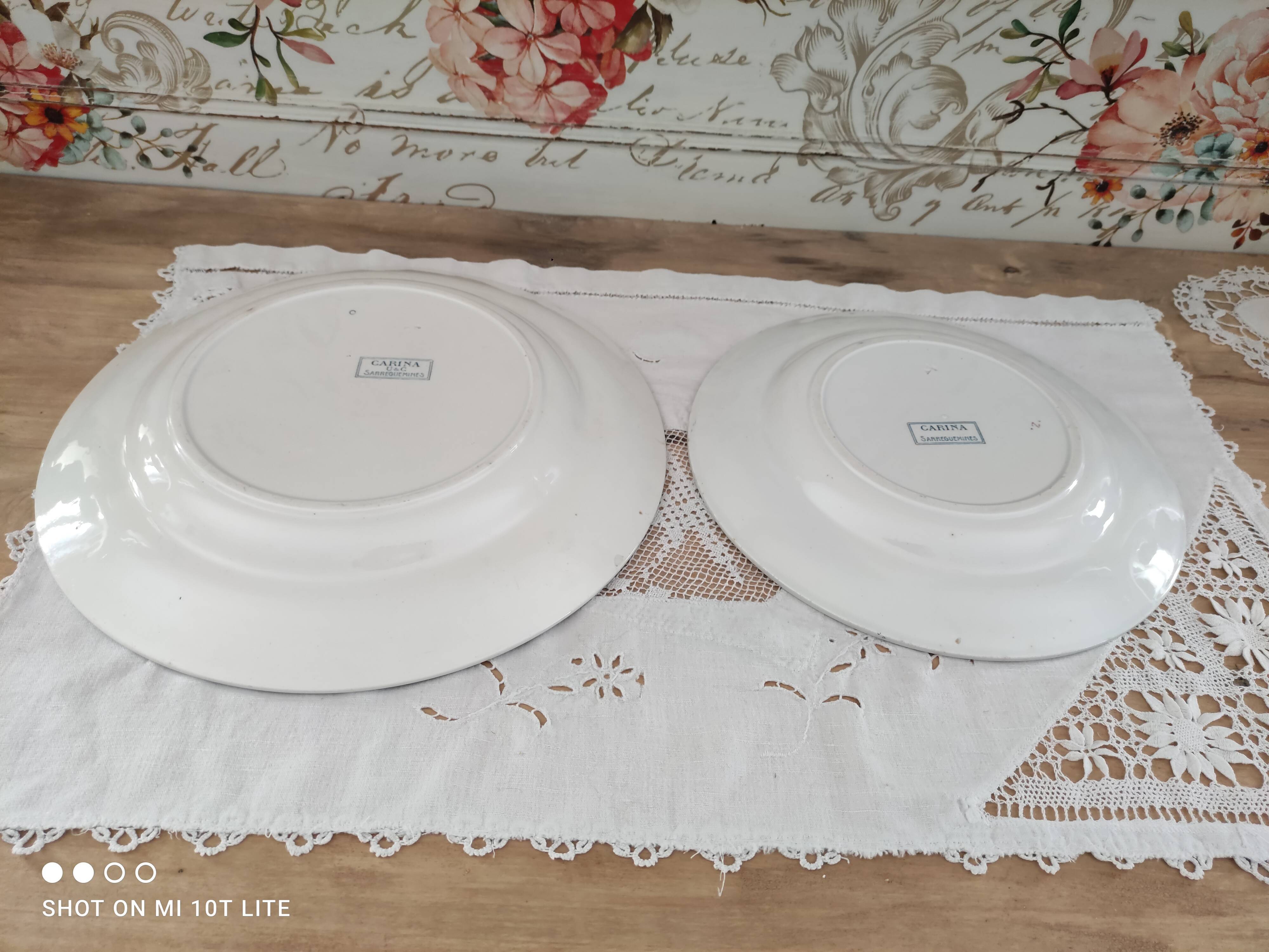 Set of 2 round dishes trundle in Iron Earth Sarreguemines model Carina decoration blue frieze