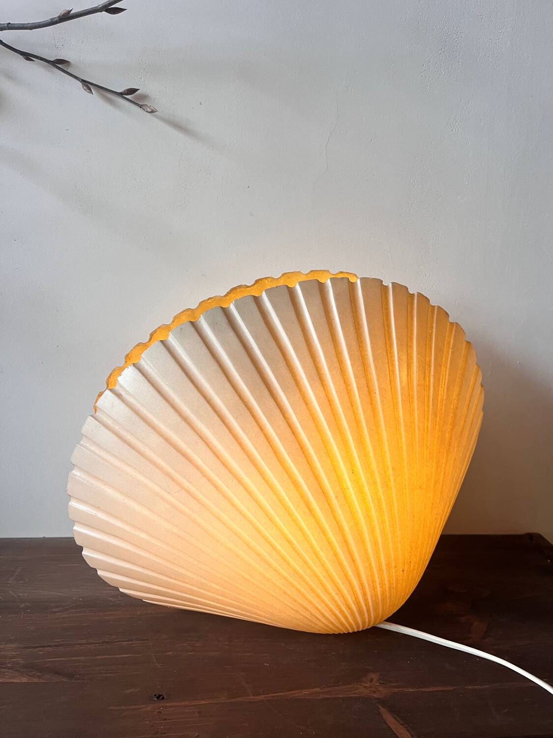 Shell lamp by Michel Mahé + André Cazenave po