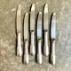 6 Guy Degrenne dessert knives in silver metal