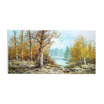 river in the forest