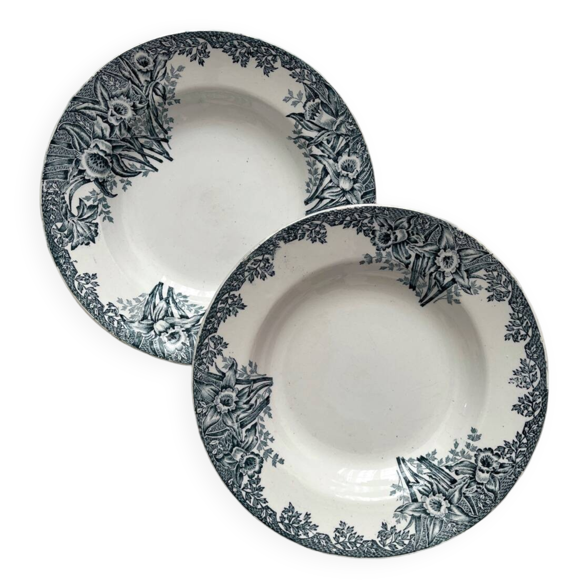 2 St Amand ironstone soup plates “Narcissus”