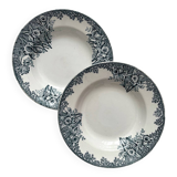2 deep ironware plates “Narcissus” St Amand