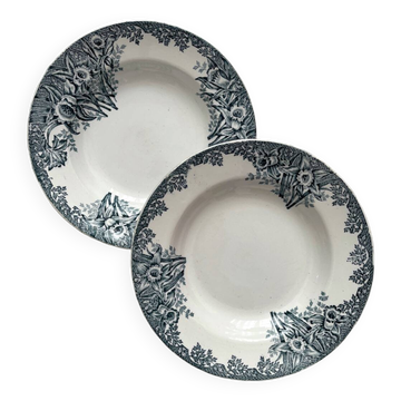 2 assiettes creuses en terre de fer « Narcisses » St Amand