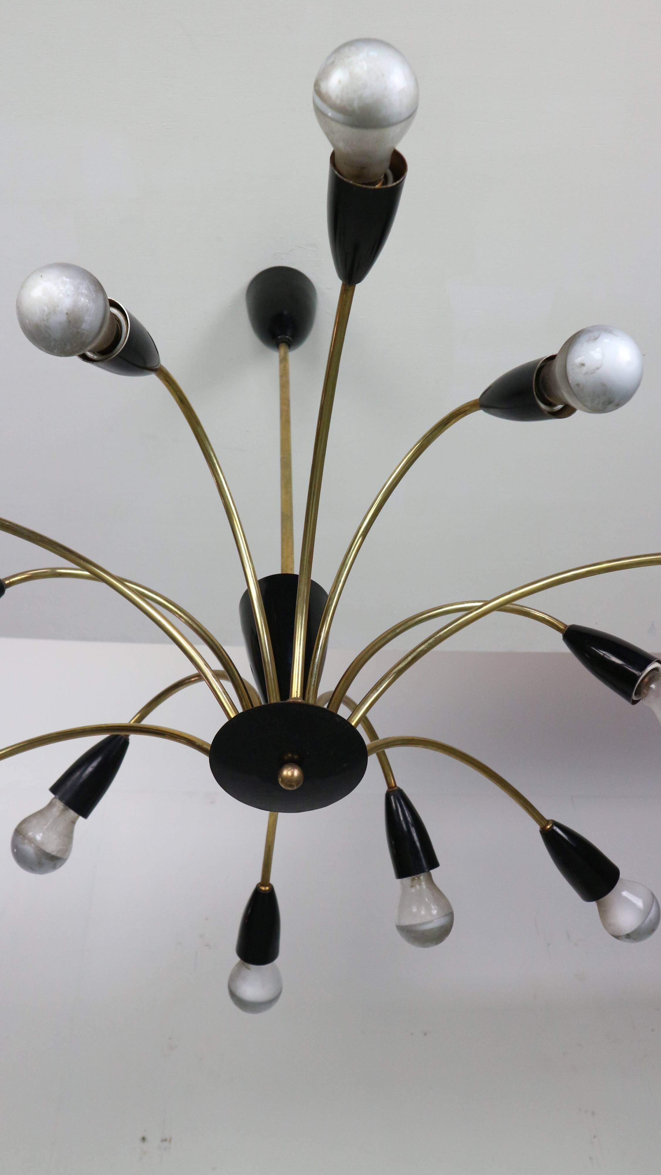 Italian Black and brass 12 arm Spider Chandelier  1950s
