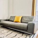 Roche Bobois sofa