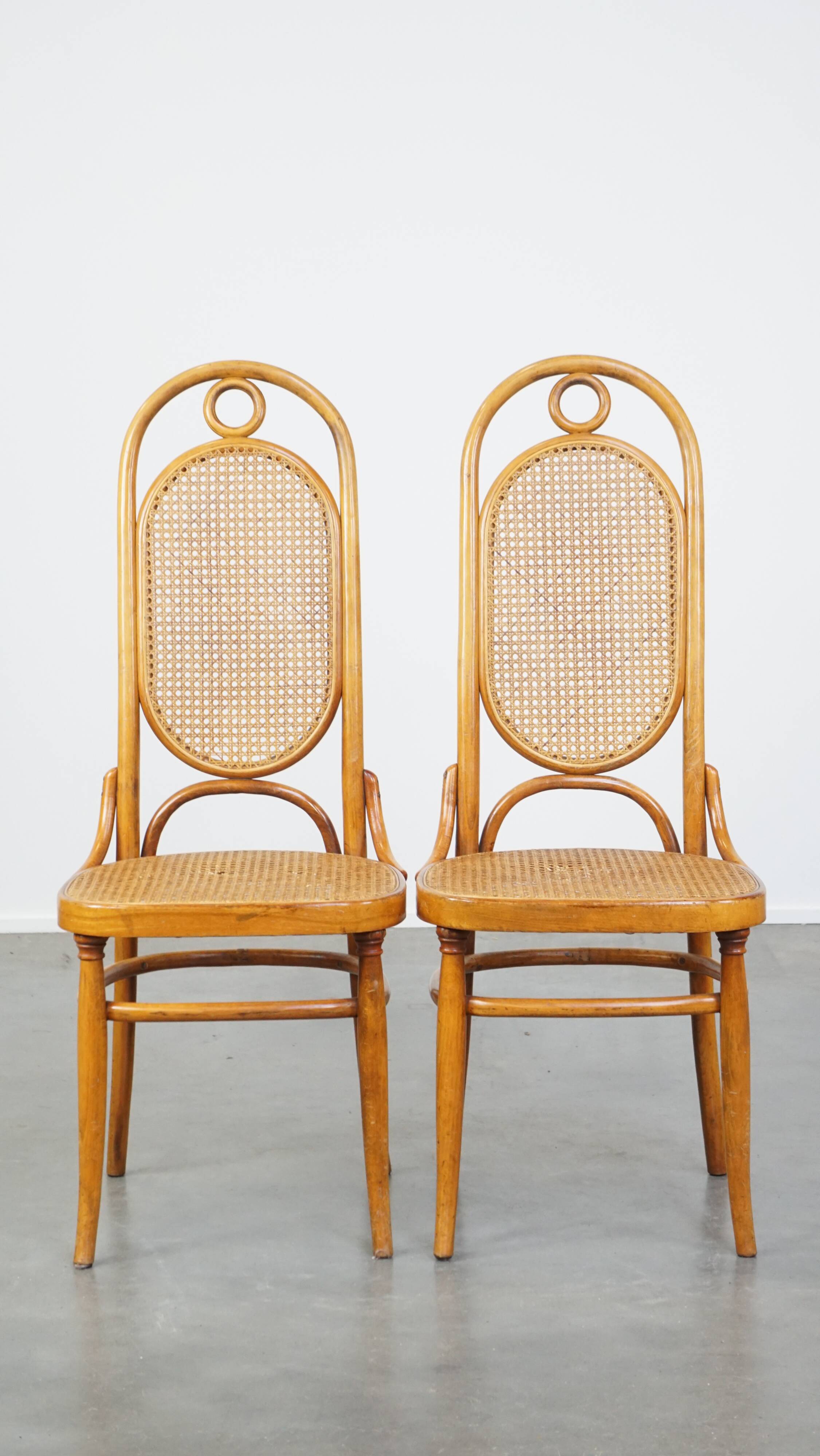 Set of 2 light brown bentwood Thonet style chairs model "Long John"