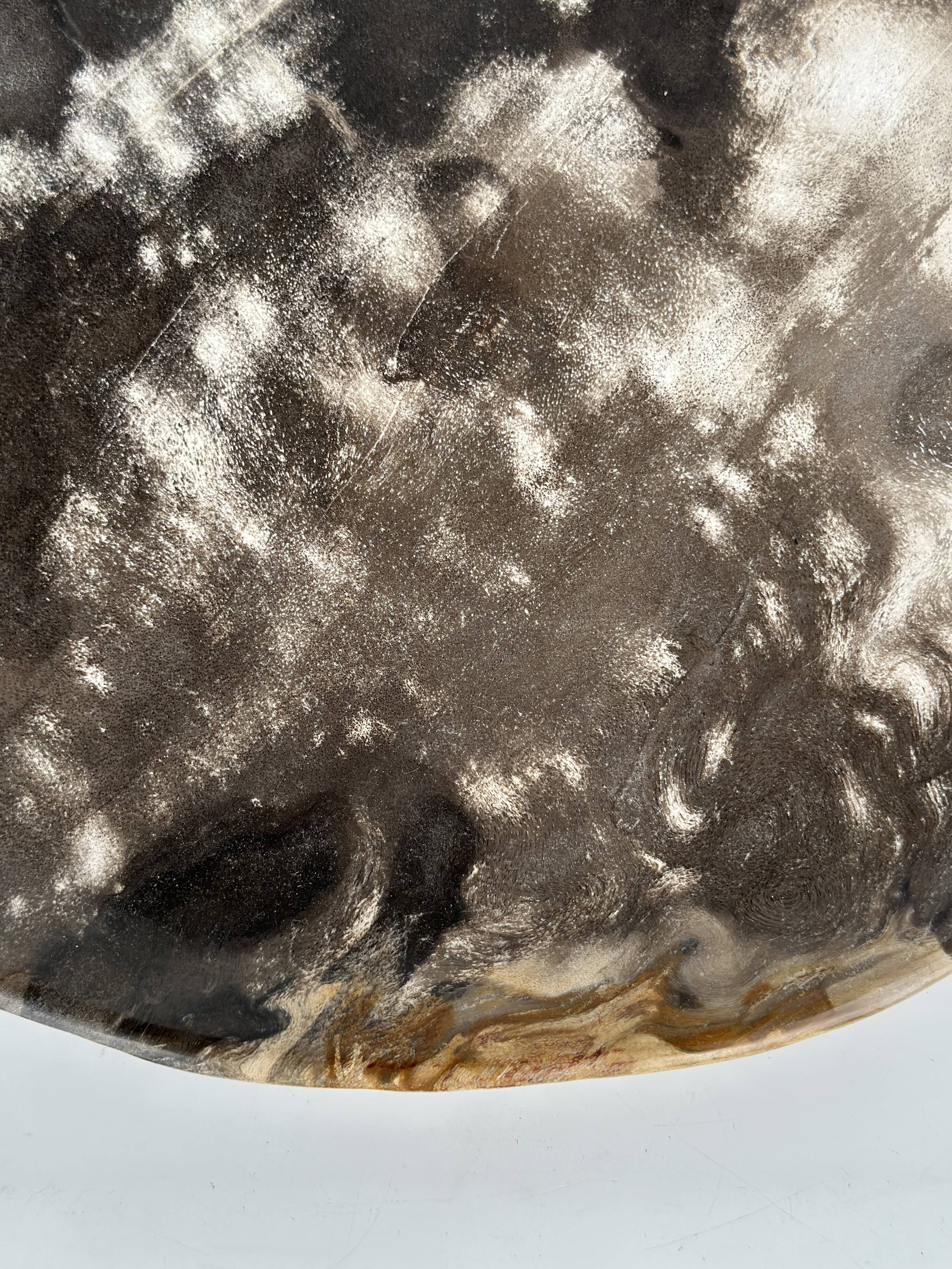 Dish in petrified wood