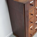 Paire d'armoires / vitrines d'apothicaire en chêne hollandais antiques Art Nouveau vers 1904