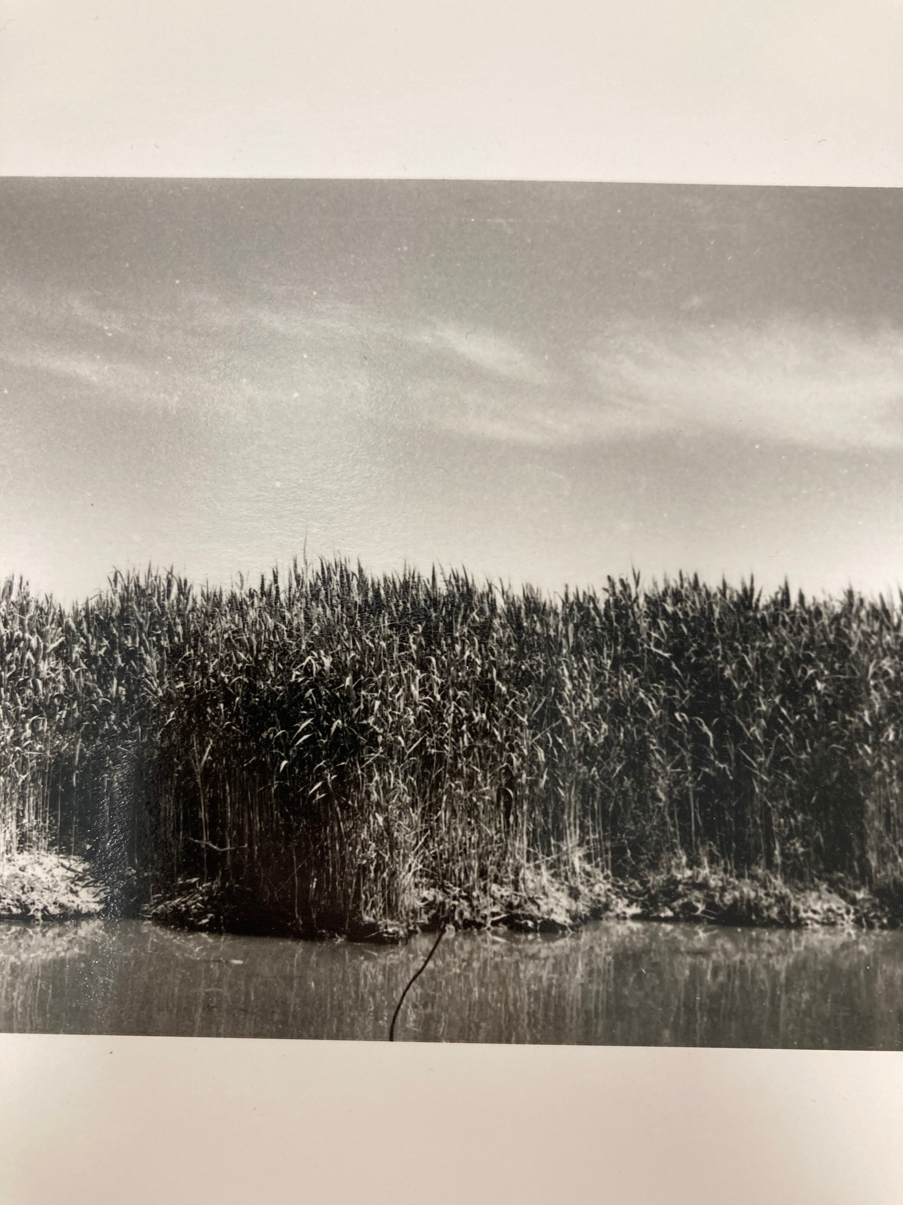 Film landscape photography