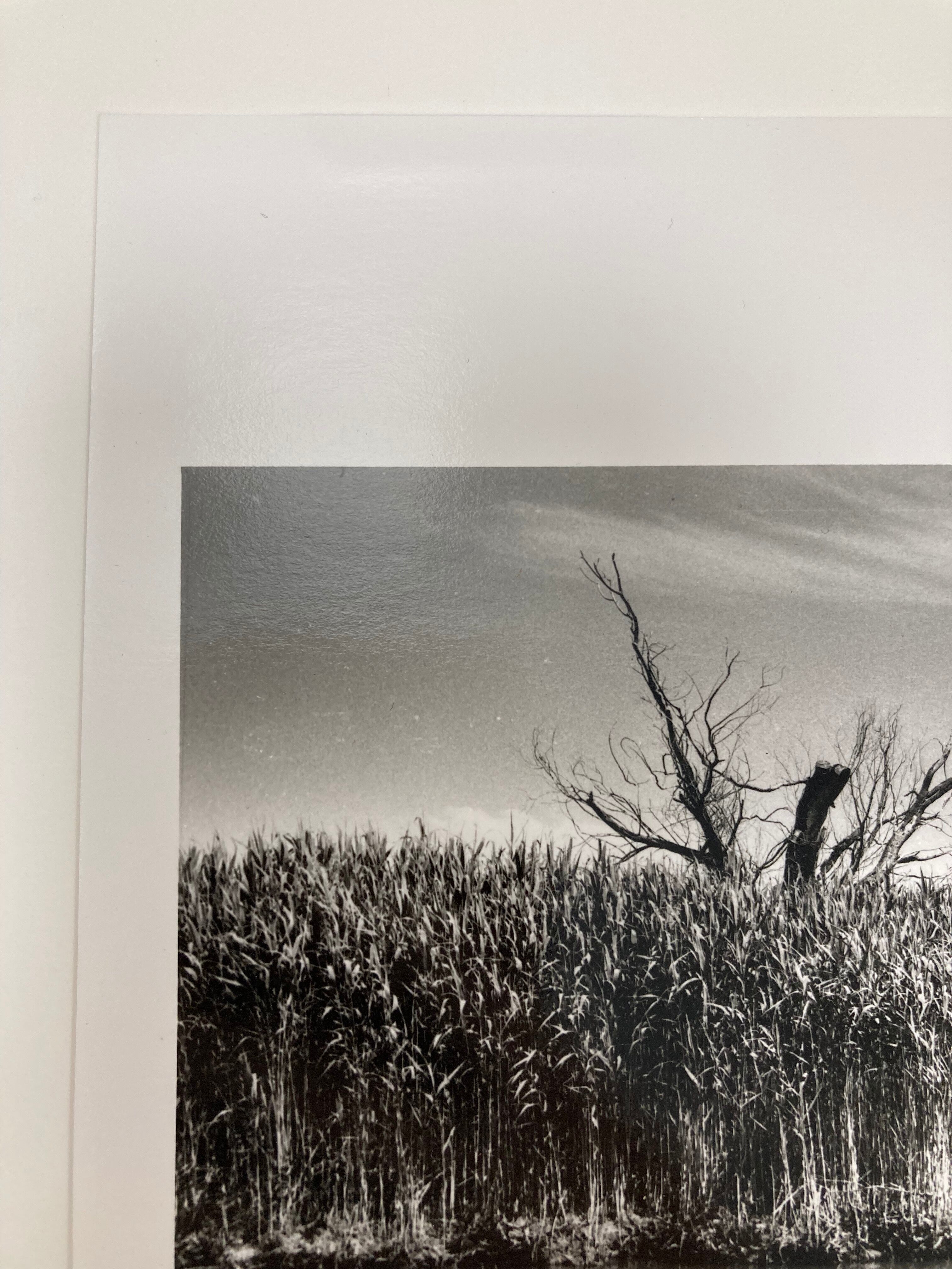 Film landscape photography