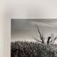 Film landscape photography