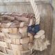 Basket or bag to put or hang leather, rope, brass and rattan