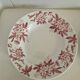 Set of 6 Deep Plates Saint Amand Terre De Fer Anemone Model Den