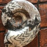 Ceramic shell paper press