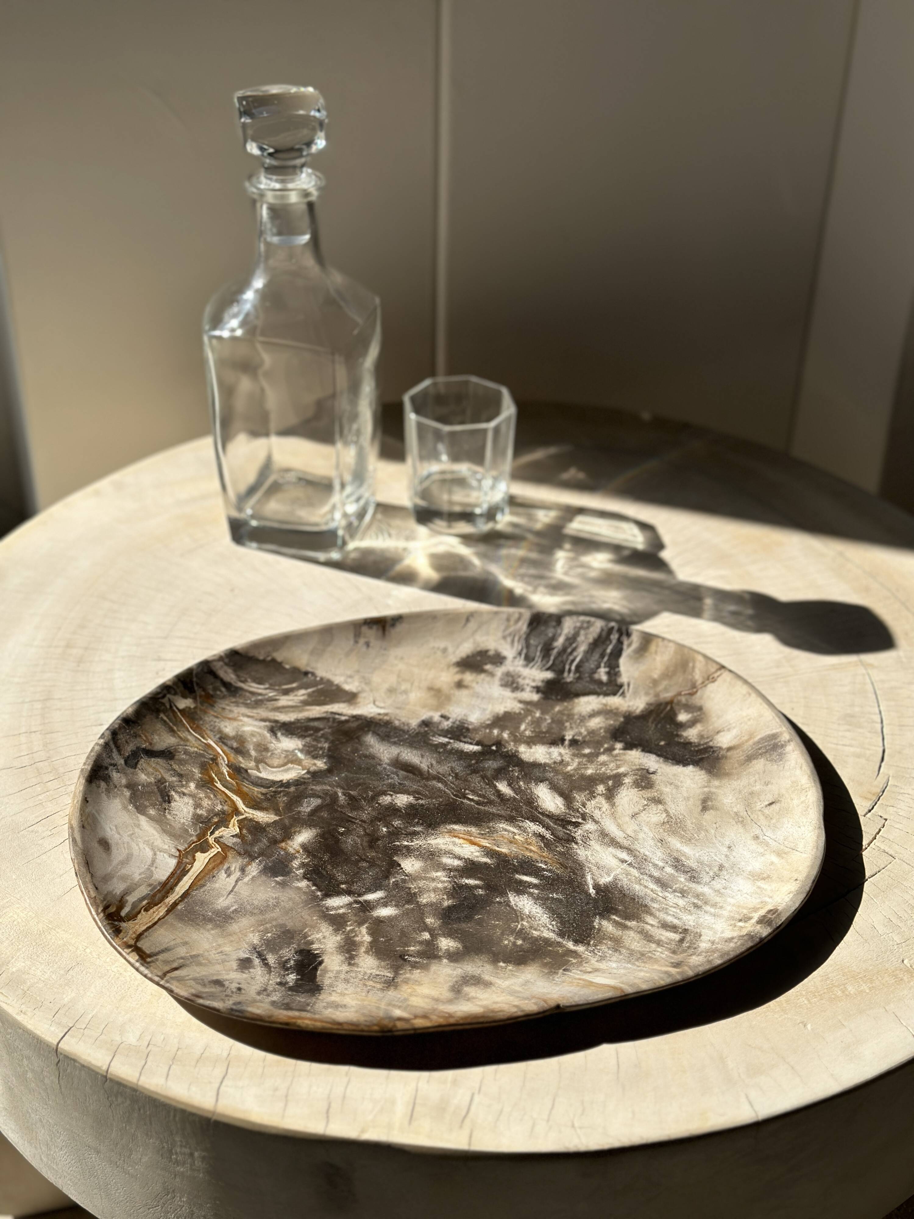 Very large pocket or dish in petrified wood