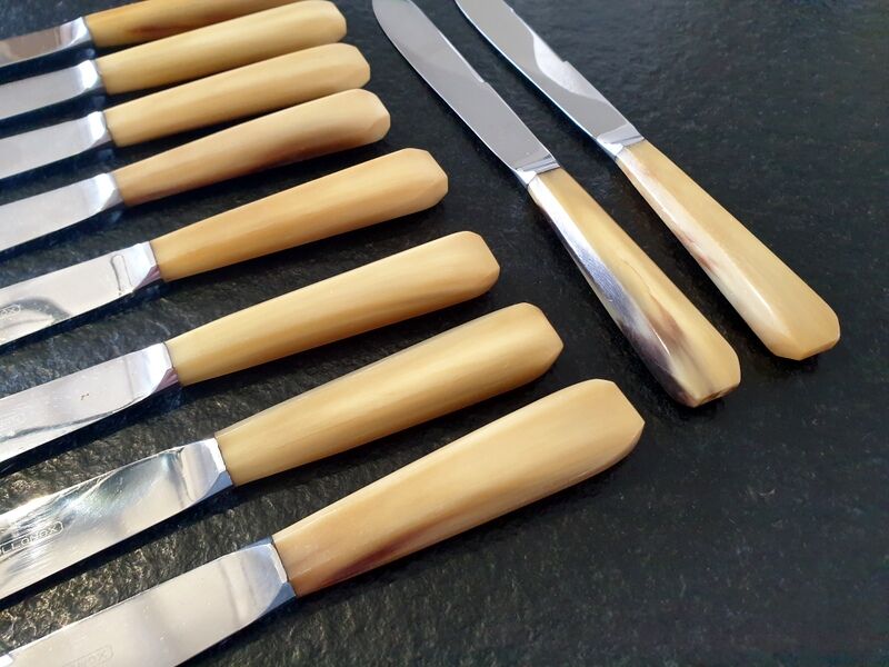 Series of 12 table knives