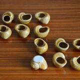 Lot of 12 enamelled sandstone snail shells