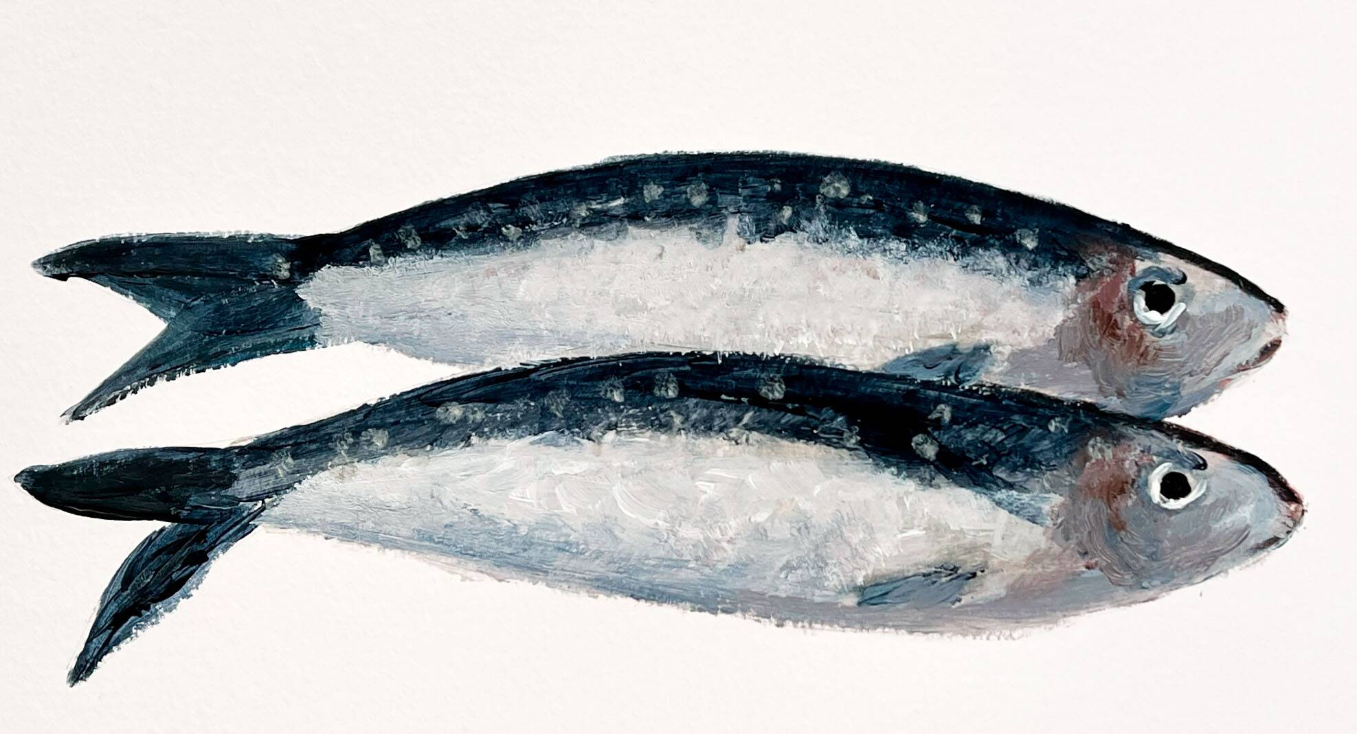 "2 sardines" par Joseph Rethlin