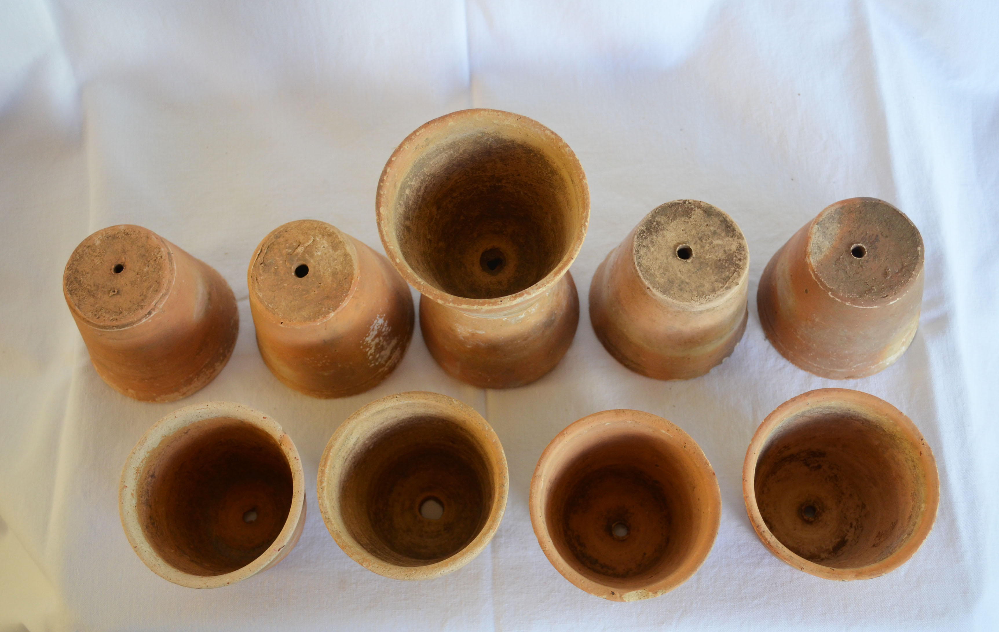 10 old seedling pots