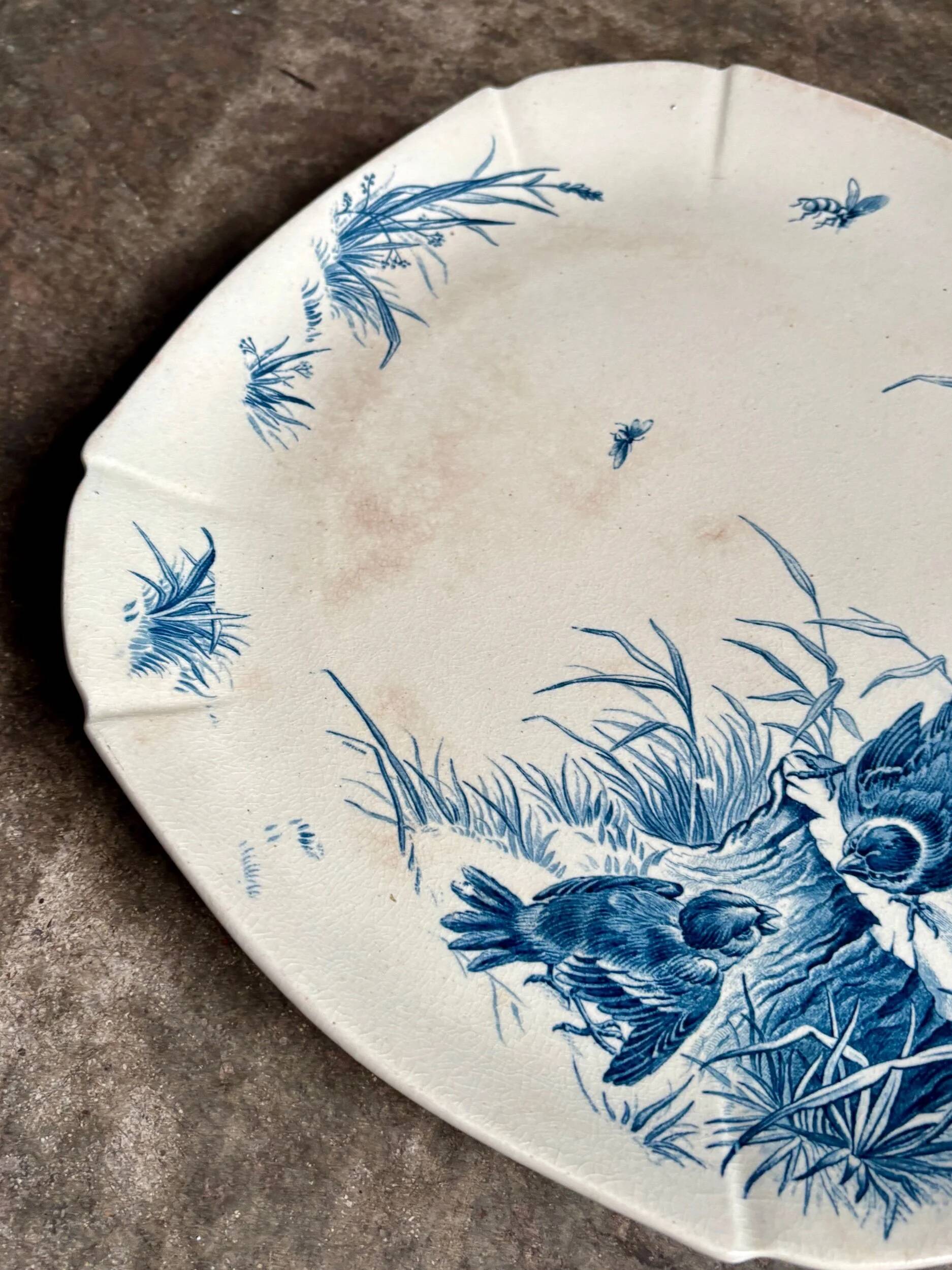Square flat dish on pedestal Gien in blue ironstone, service "Birds" around 1870.