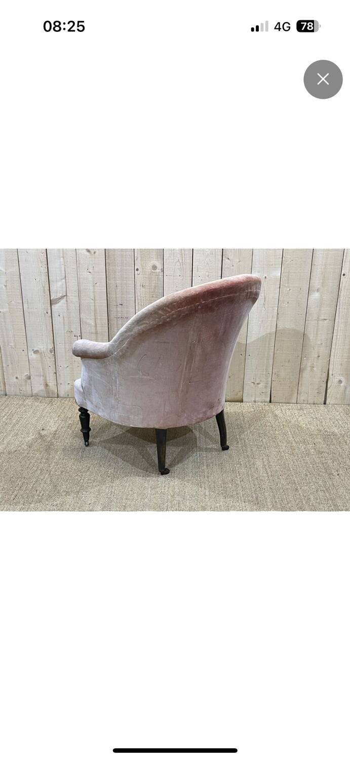 Napoleon III Toad Armchair