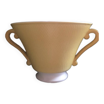 Salins cup