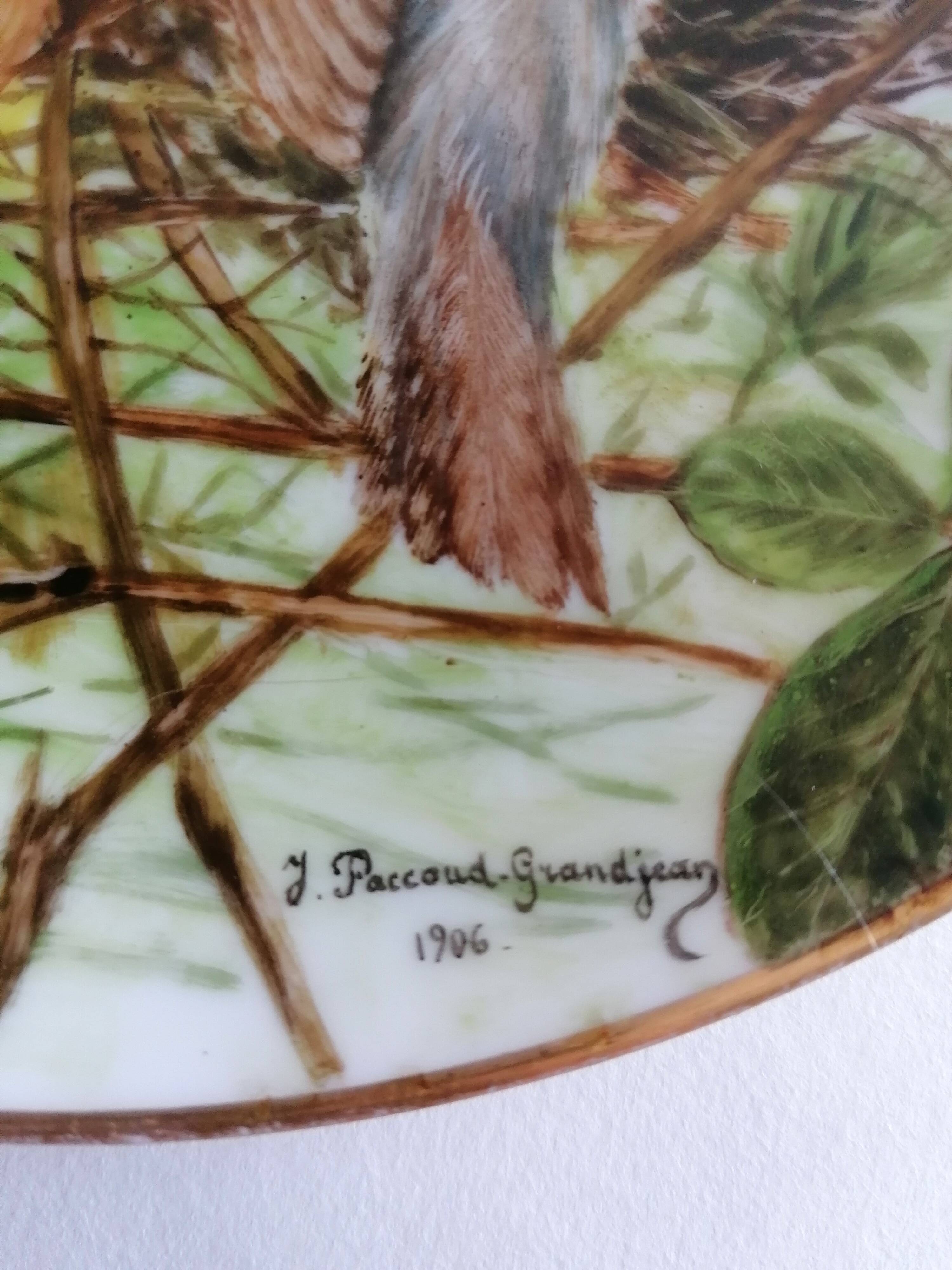 Haviland porcelain plate bird collection