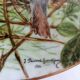 Haviland porcelain plate bird collection