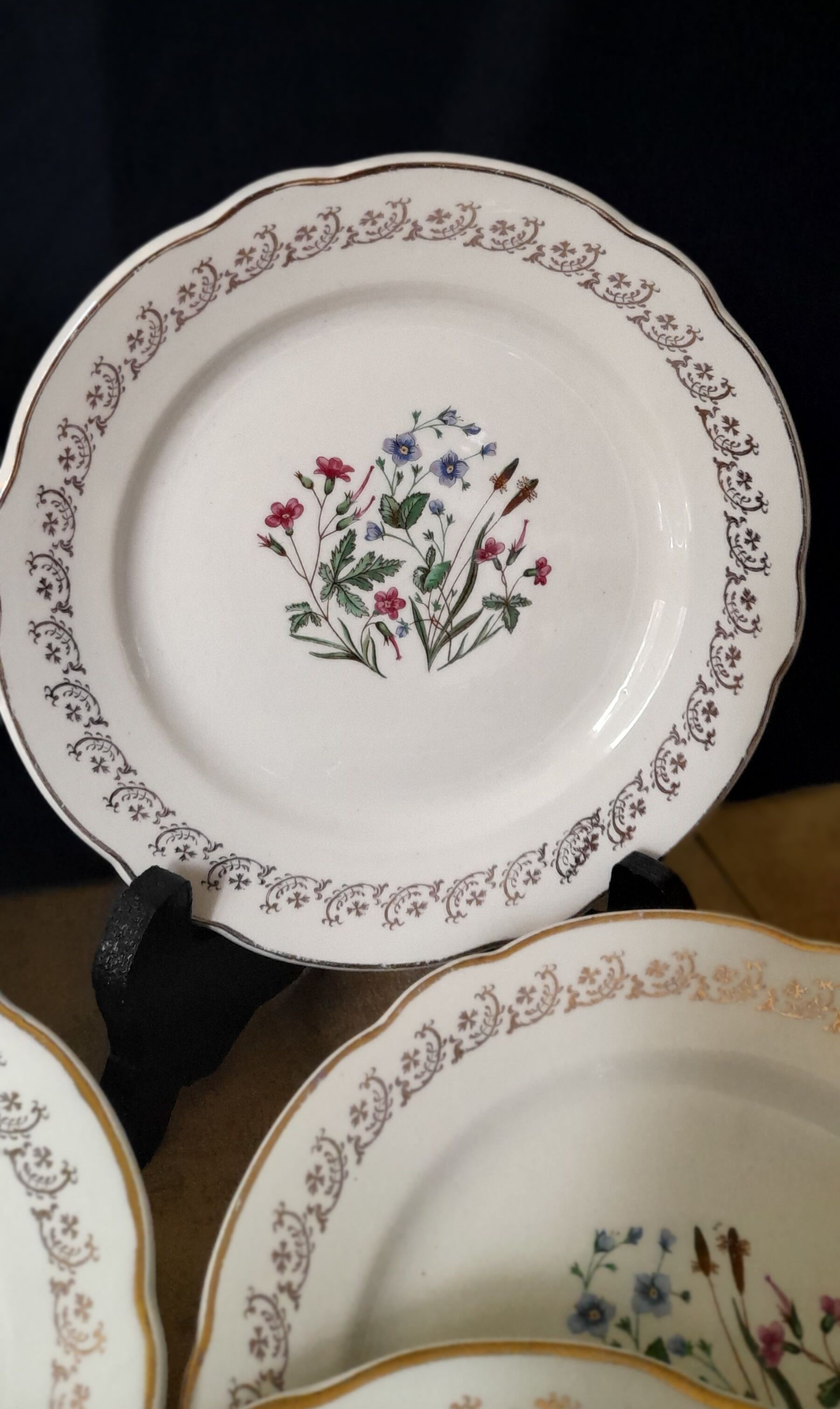 6 dessert plates floral and golden decoration - Model Printemps de Digoin - circa 1950