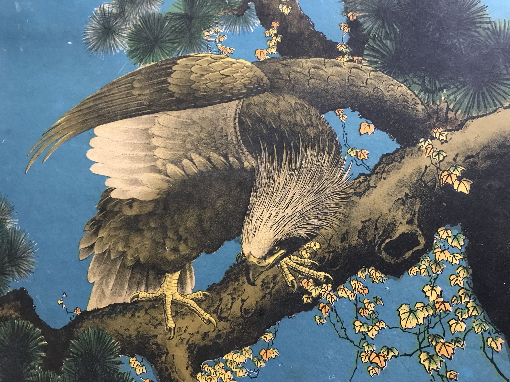 Ancienne estampe d’asie à décor polychrome d’aigle sur une branche xixème