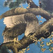 Ancienne estampe d’asie à décor polychrome d’aigle sur une branche xixème