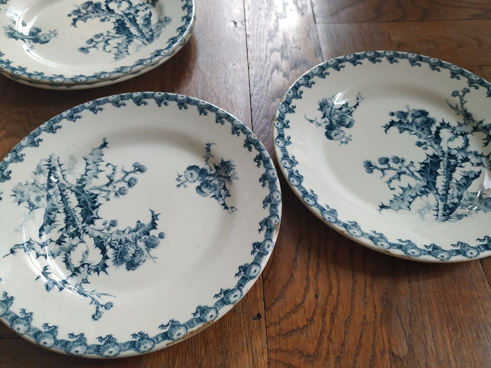 Lot 6 plates Gien chardons