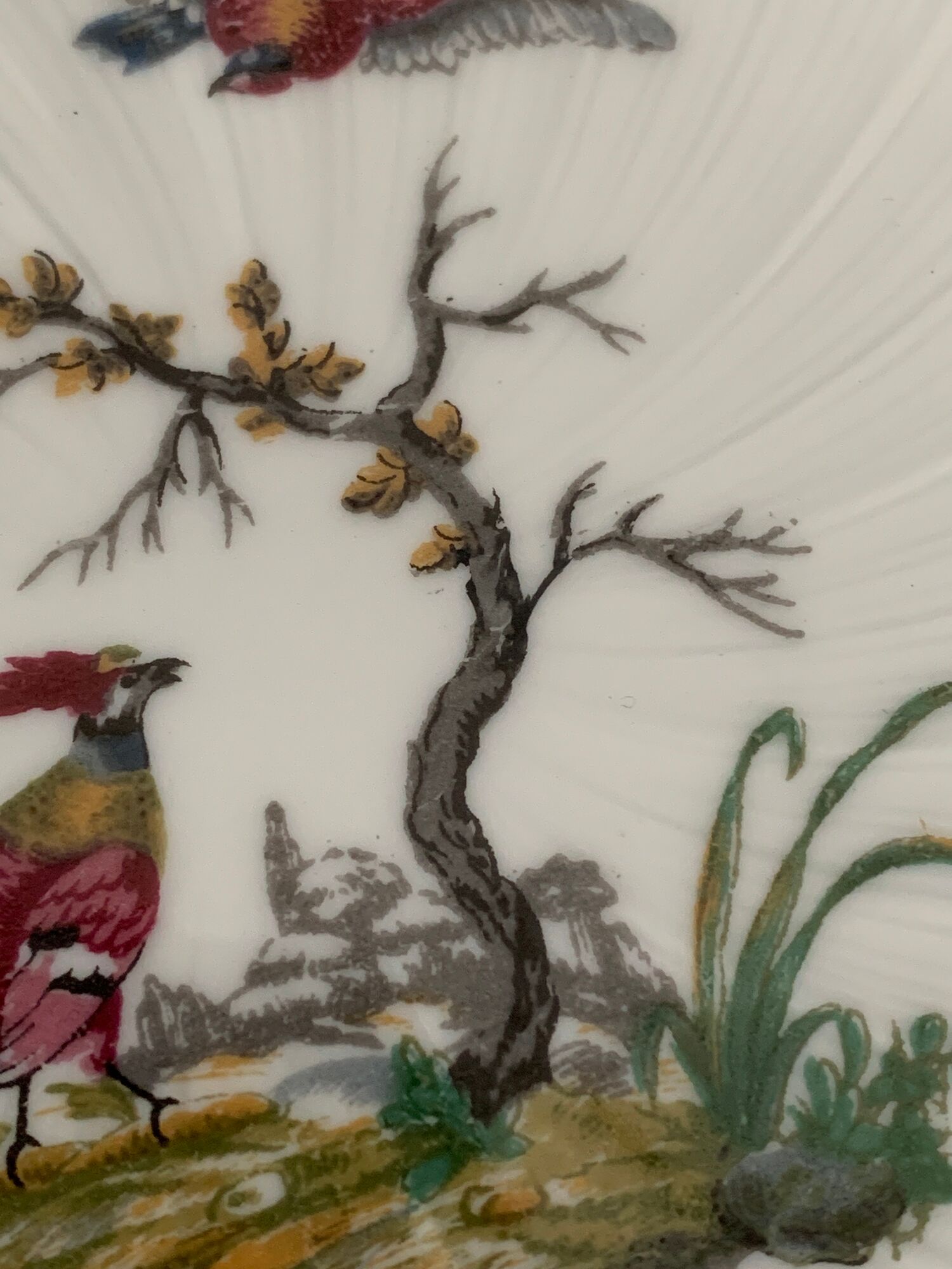 8 Bernardaud and Co. dessert plates signed Elbé, Limoges porcelain, decorated with birds