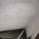 Antique oval mirrors