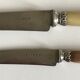 Lot of 24 horn handle knives circa 1900