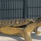 bronze crocodile ashtray 35 cm