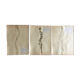Lot de 3 planches d’herbier