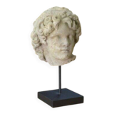 Sculpture of a head in reconstituted stone carved in the antique style of the 19th century