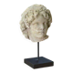Sculpture tête en pierre reconstituée taillée style antique XIXème