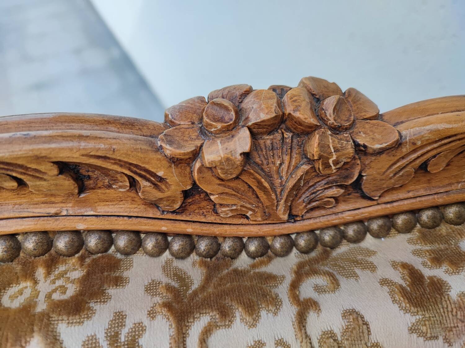 Large shepherdess with ears