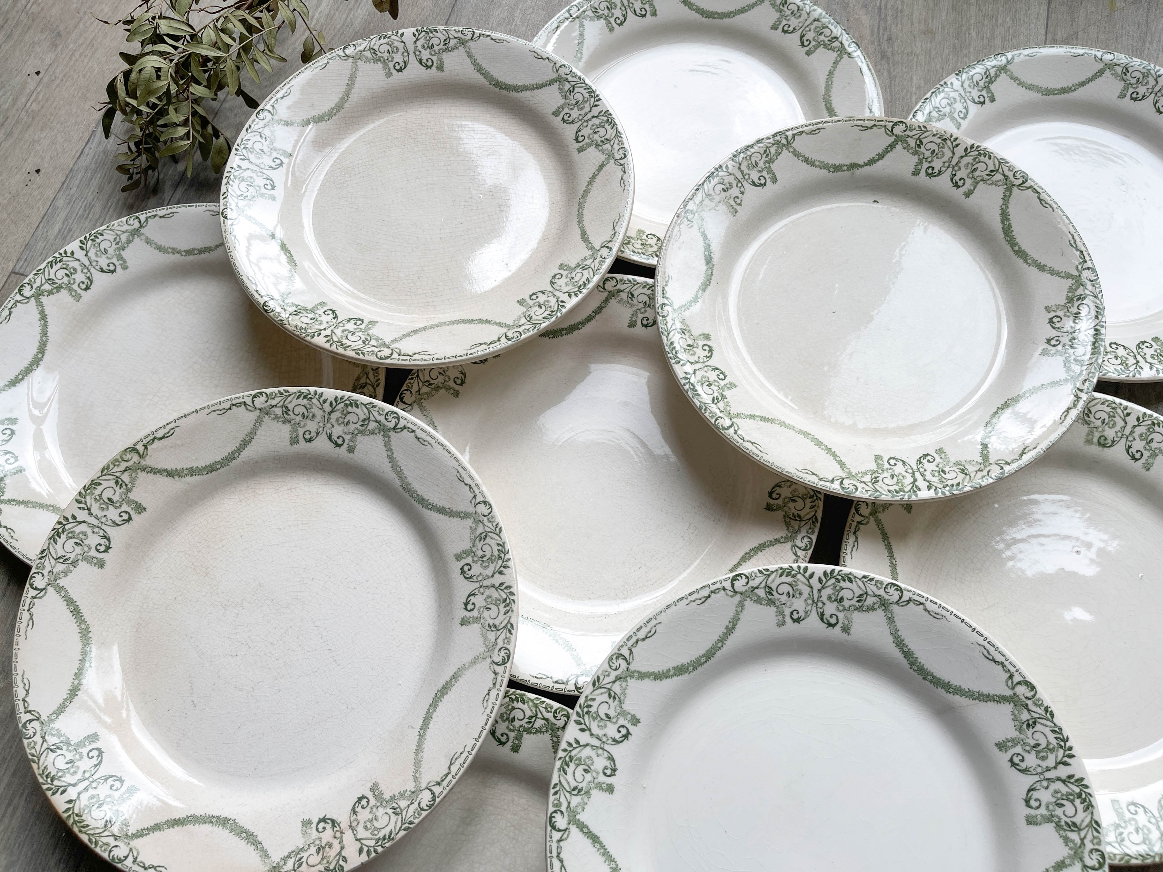 Flat plates terre de fer green creil & montereau labrador model "napoleon" 1890s