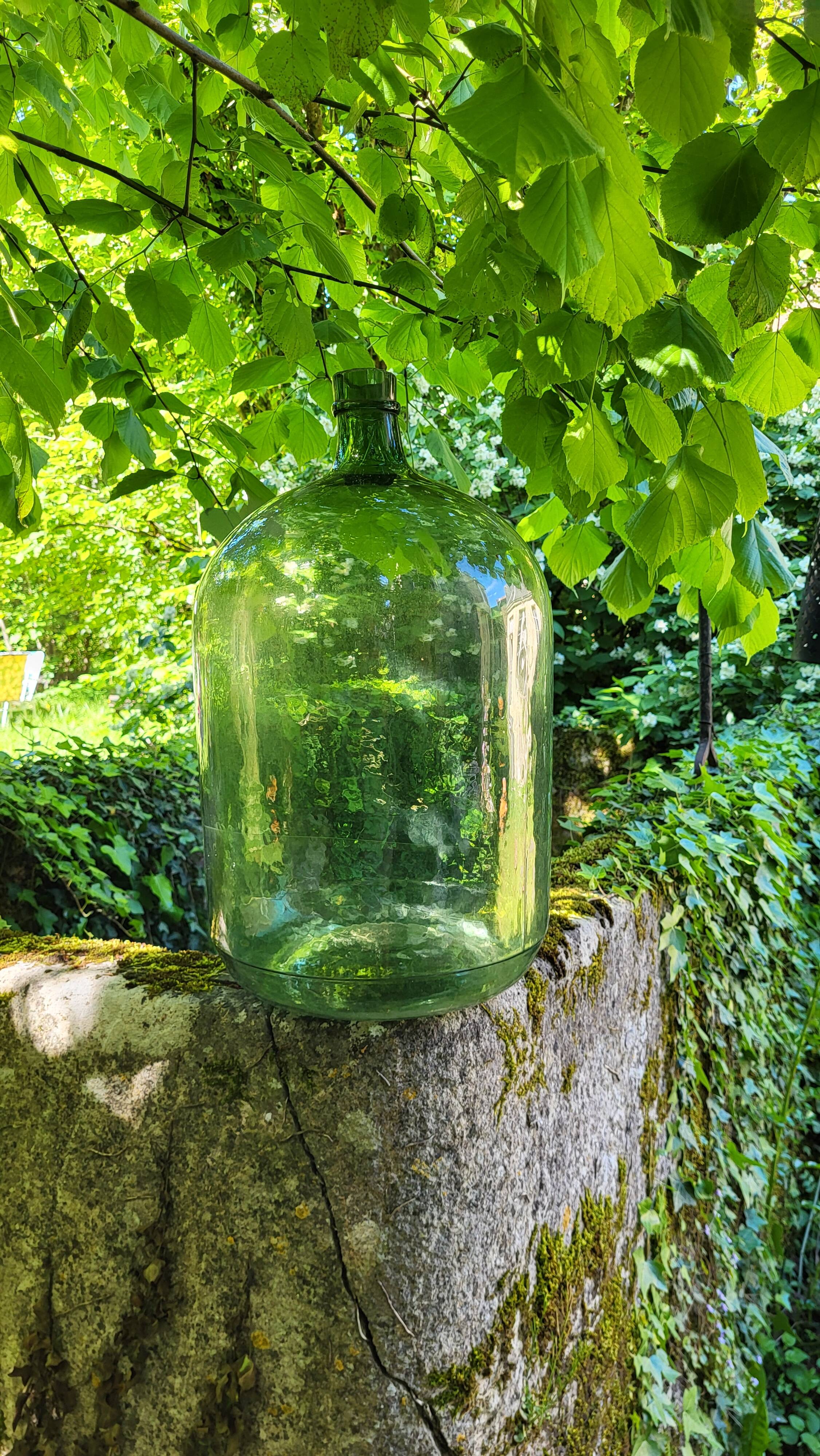Lady Jeanne / 22 L carboy