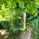 Lady Jeanne / 22 L carboy