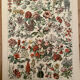 Set of 2 lithographs on XXth flowers