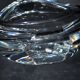 Neptune design vase in baccarat crystal signed designer thomas bastide 1988