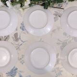 6 Assiettes en porcelaine fleurs