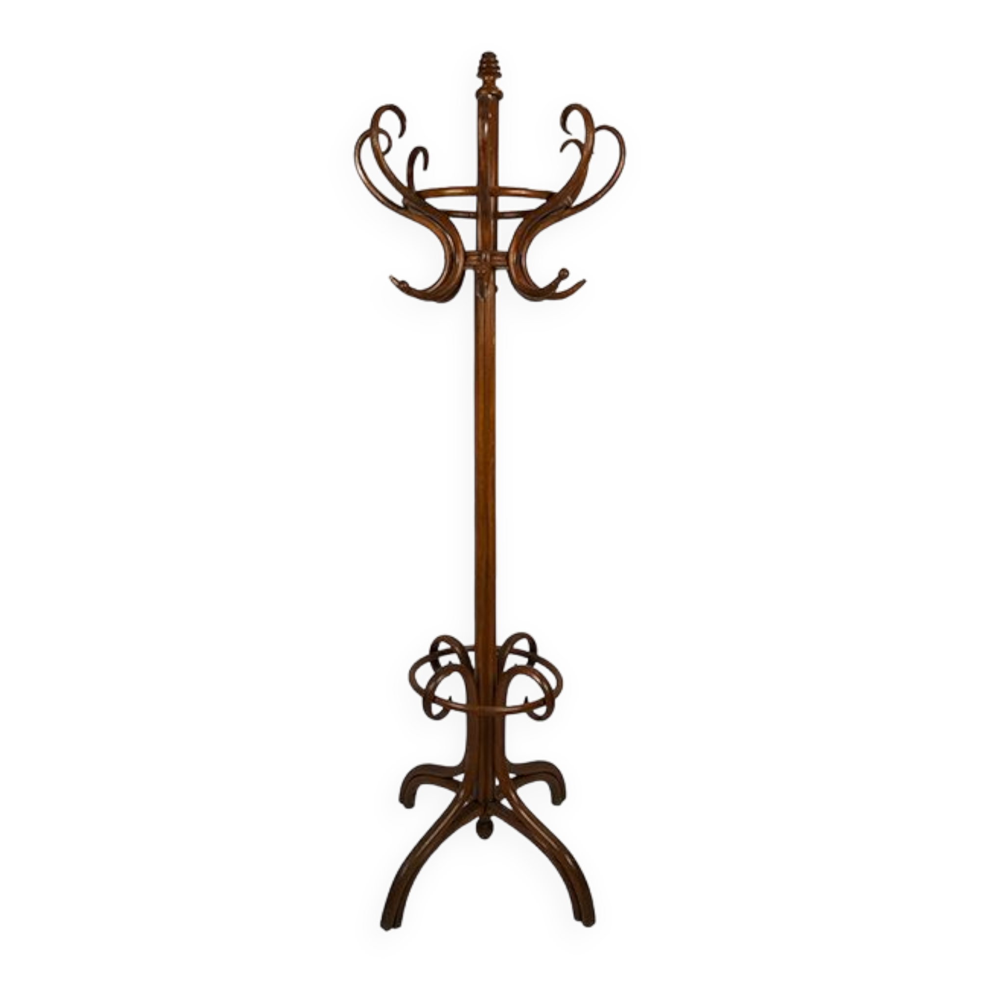 Parrot coat rack in bentwood