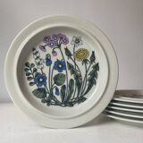 Flora flat plate service design Esteri Tomula